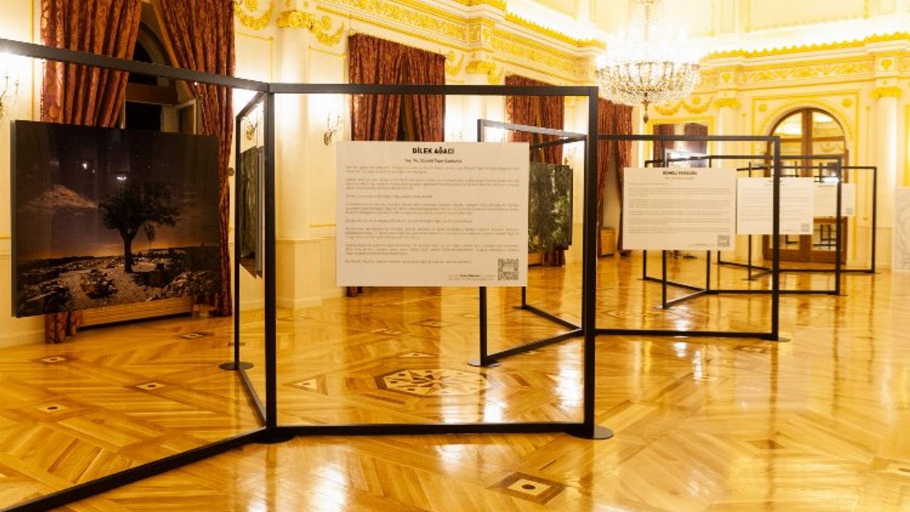 Mehmet Turgut'un ‘Sessiz Gözcüler’ sergisi Fransız Sarayı’nda