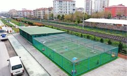 Küçük Dostlar Kedi Kasabası dünya gündeminde