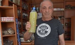 Kanser tedavisine bitkisel takviye