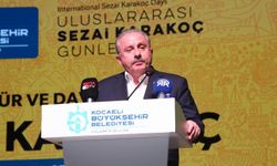 Mustafa Şentop: Sezai Karakoç hayatının belgesel yapılma teklifini reddetmişti.