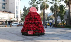 Kocaeli 'Atatürk Çiçeği' ile süsleniyor...