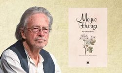 Peter Handke’nin “Meyve Hırsızı” romanı Alexia’nın içsel yolculuğuna dair derin bir keşif.