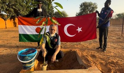 İşsizliğe karşı Nijer'de mango diktiler