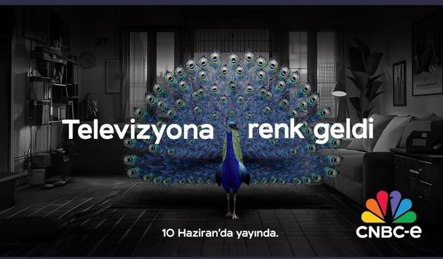 CNBC-e 10 Haziran'da yayında