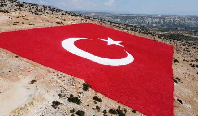 Yasemin Sakallıoğlu dahil 25 kadın, 22 dönümlük araziye Türk bayrağı işledi.