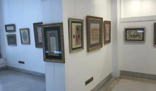 Bursa Olgunlaşma Enstitüsü'nden "Nahif Çizgiler" sergisi Sami Güner Sanat Galerisi’nde